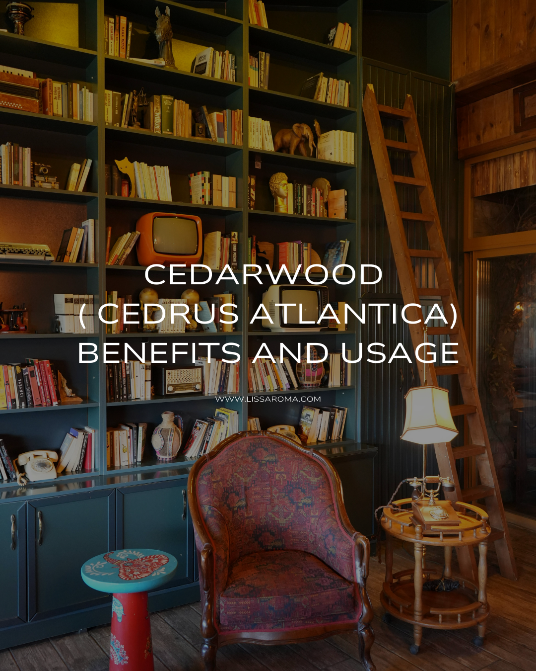 cedarwood